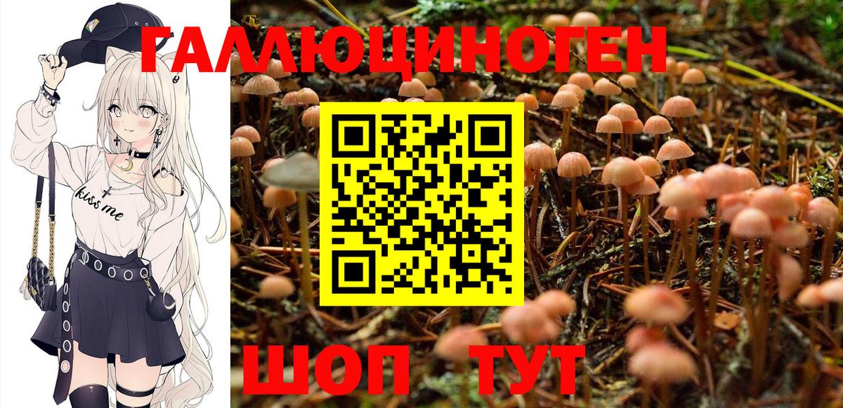 Галлюциногенные грибы мухоморы  Вход с VPN  Баксан 