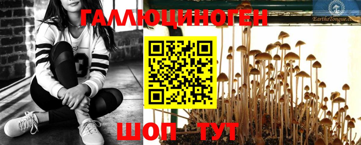 Псилоцибиновые грибы мухоморы Баксан
